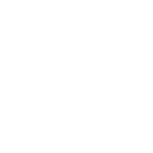专精特新