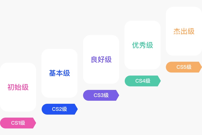 CS等级