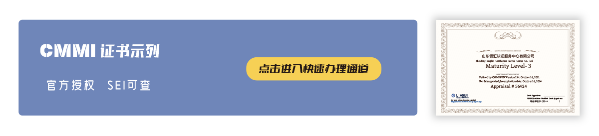 CMMI-证书示例
