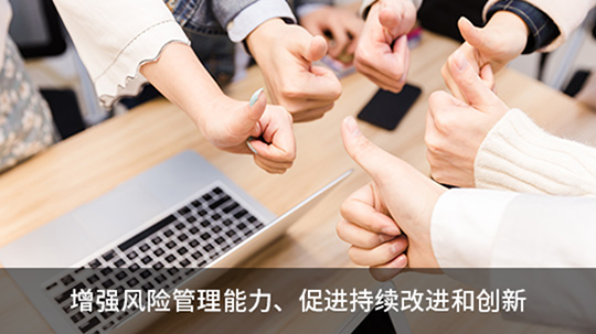 iso20000-2.jpg